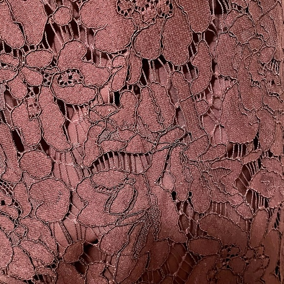 Ann Taylor Maroon/Burgundy Lace Dress - Picture 7 of 7
